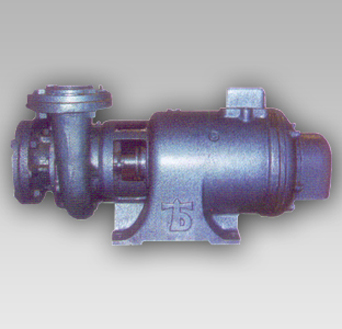Monoblock-Pumps