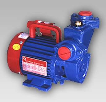 Domestic-Pump